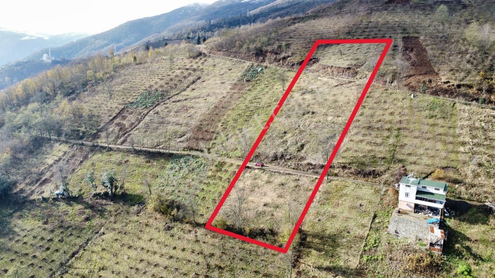Trabzon Akçaabat'ta Satılık Arazi - Görsel 2