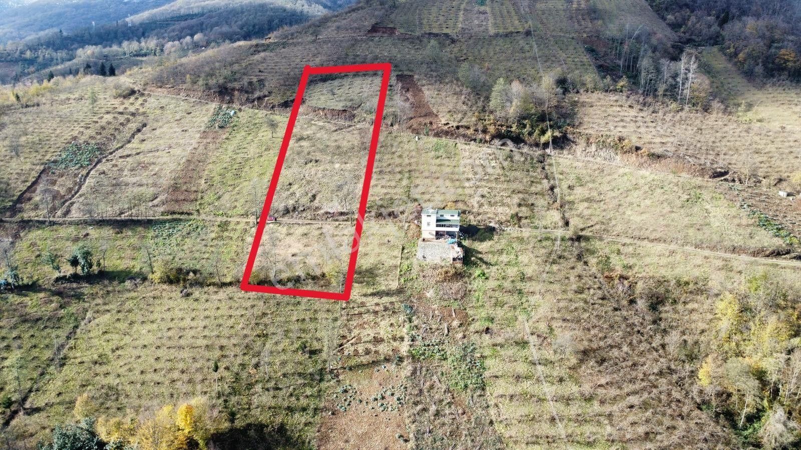 Trabzon Akçaabat'ta Satılık Arazi - Görsel 8