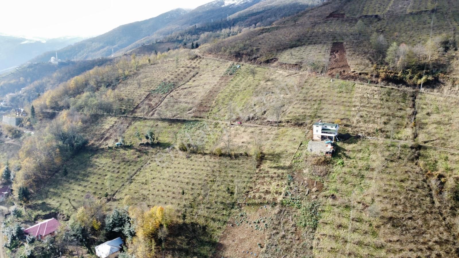 Trabzon Akçaabat'ta Satılık Arazi