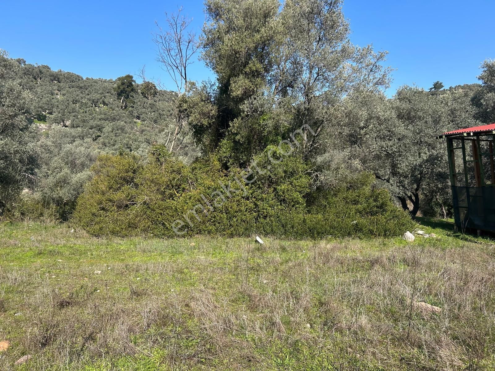 Bodrum Gökpınar Mahallesinde 1.400 M2 Acil Satılık Tarla