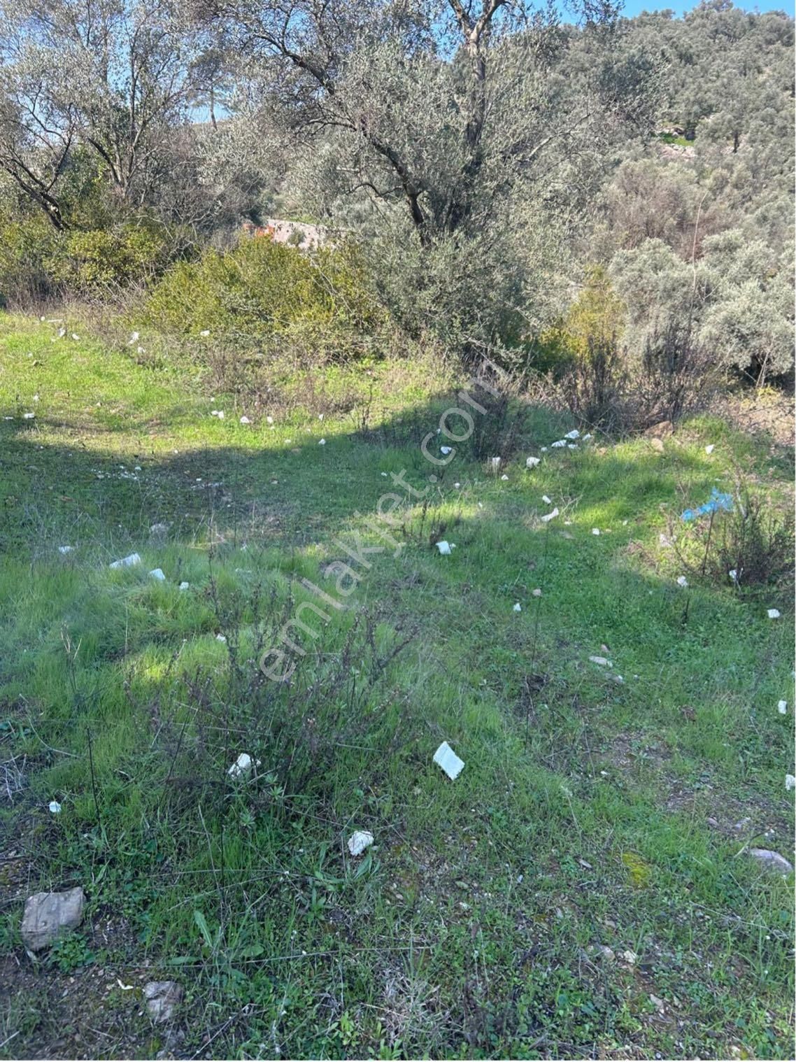 Bodrum Gökpınar Mahallesinde 1.400 M2 Acil Satılık Tarla - Görsel 10