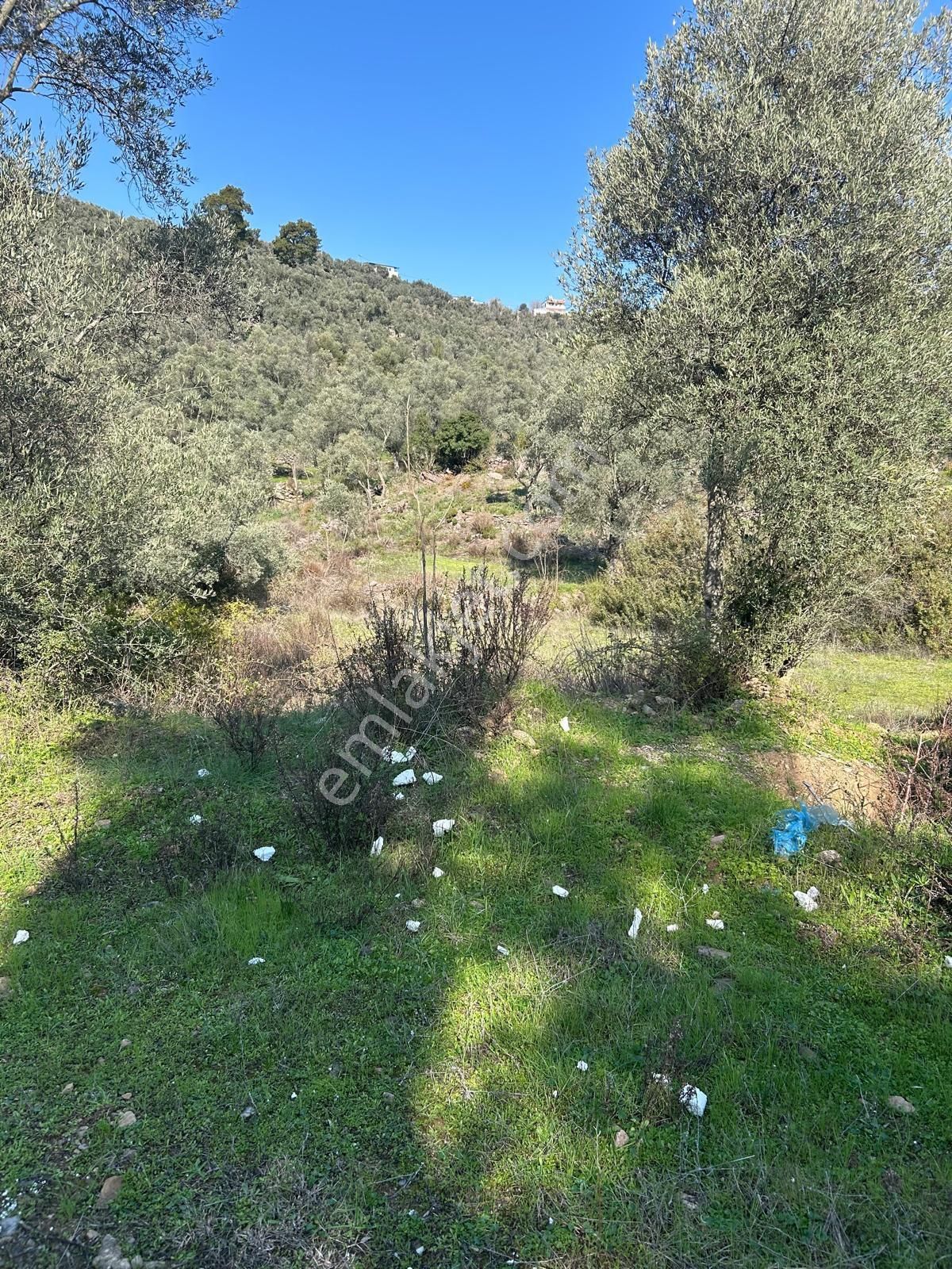 Bodrum Gökpınar Mahallesinde 1.400 M2 Acil Satılık Tarla - Görsel 7