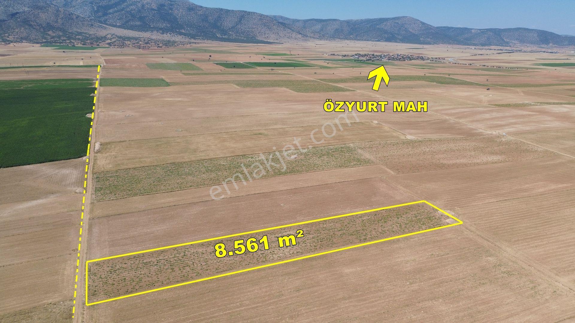 Karaman / Kazımkarabekir / Özyurt Mahallesinde 8.561 M² Müstakil Tapulu - Görsel 8