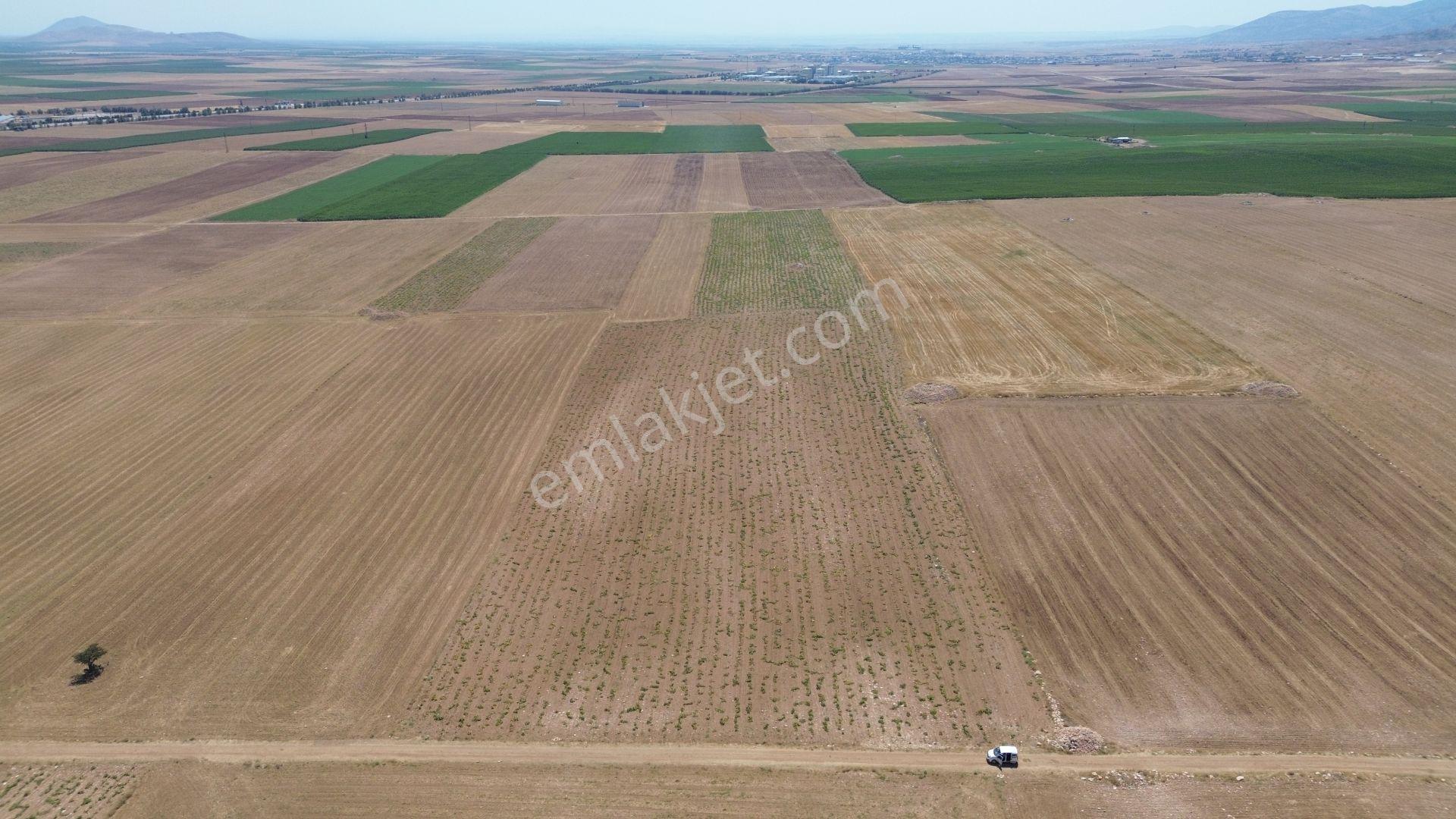 Karaman / Kazımkarabekir / Özyurt Mahallesinde 8.561 M² Müstakil Tapulu - Görsel 9