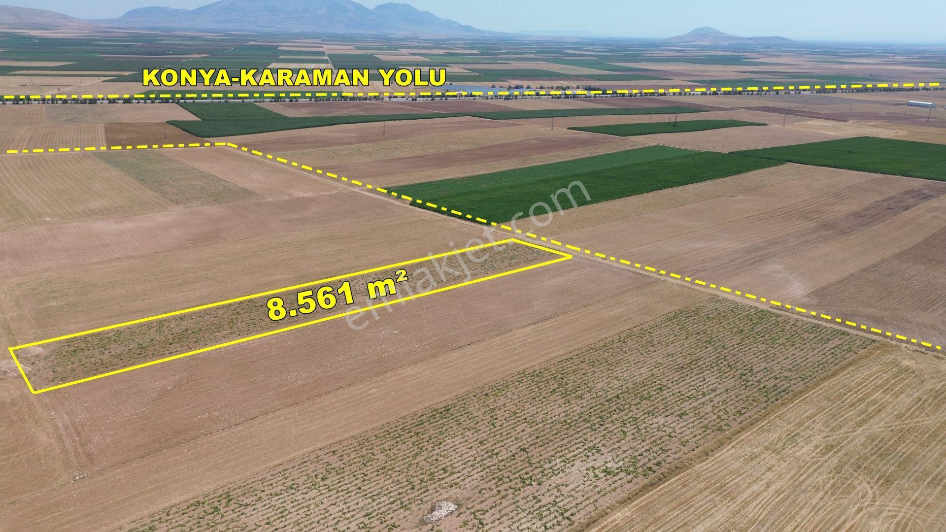 Karaman / Kazımkarabekir / Özyurt Mahallesinde 8.561 M² Müstakil Tapulu - Görsel 3