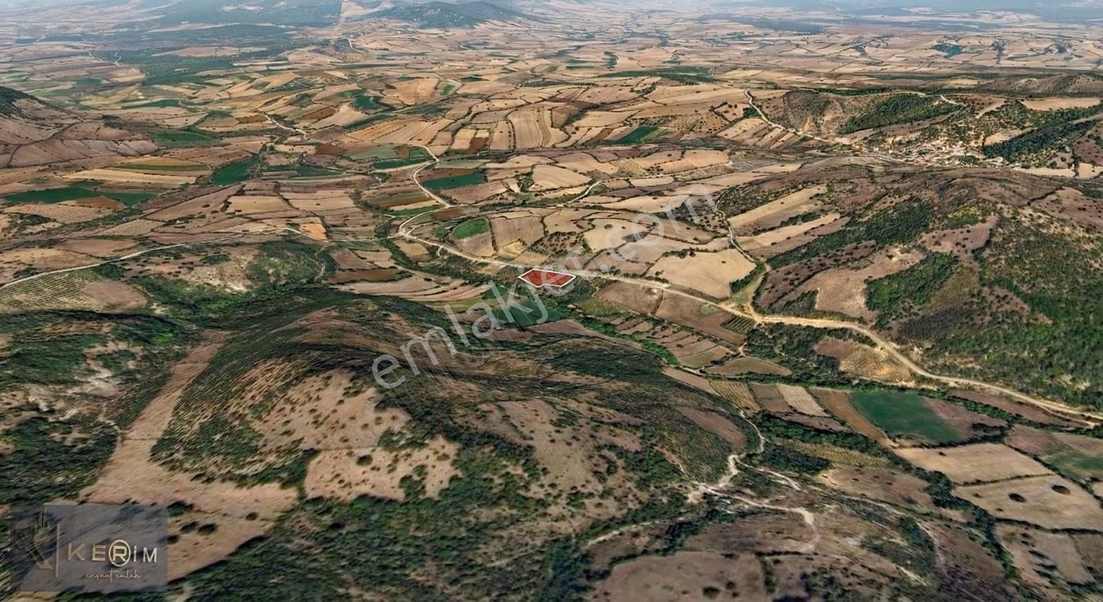 Kerim'den Fırsat Ayvacık Misvak Köyünde 4 Dönüm Yola Sıfır Tarla - Görsel 4
