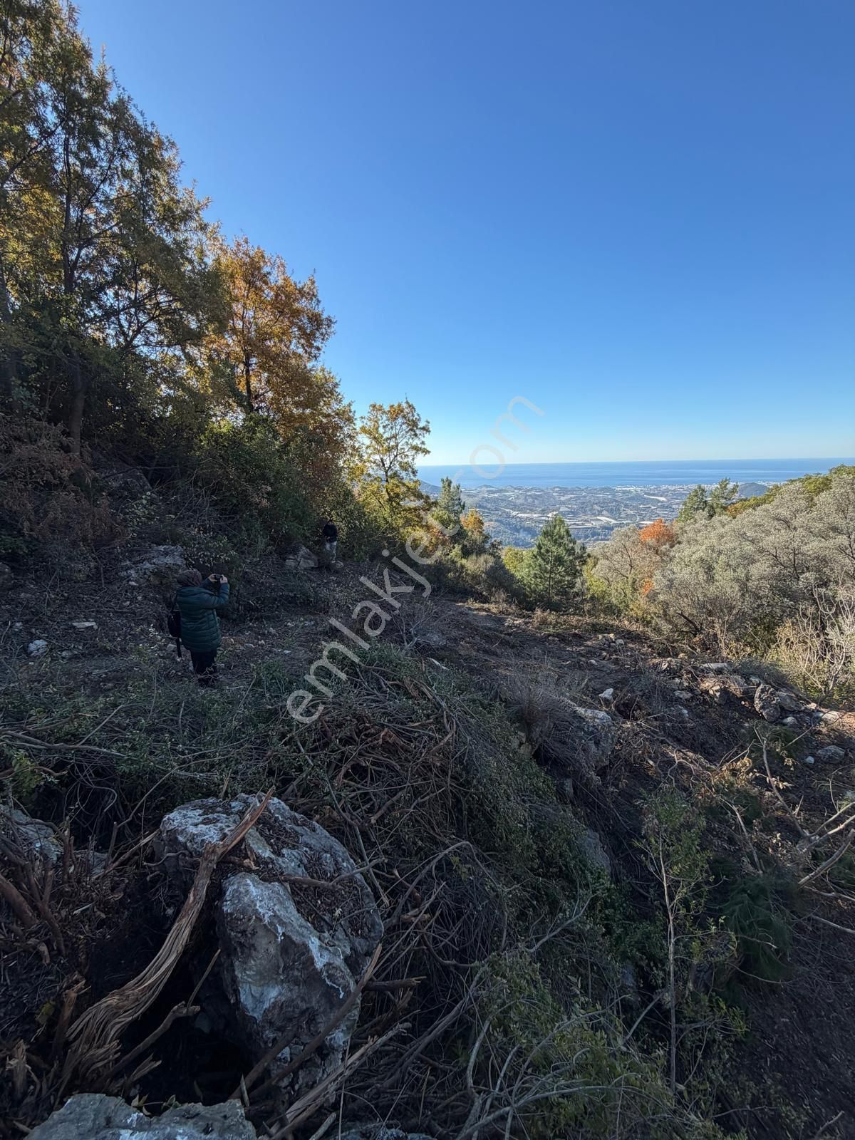 Alanya Mahmutseydi De Deniz Manzaralı Harfiyatı Yapılmış 1.137,41m2 Satılık Tarla - Görsel 4