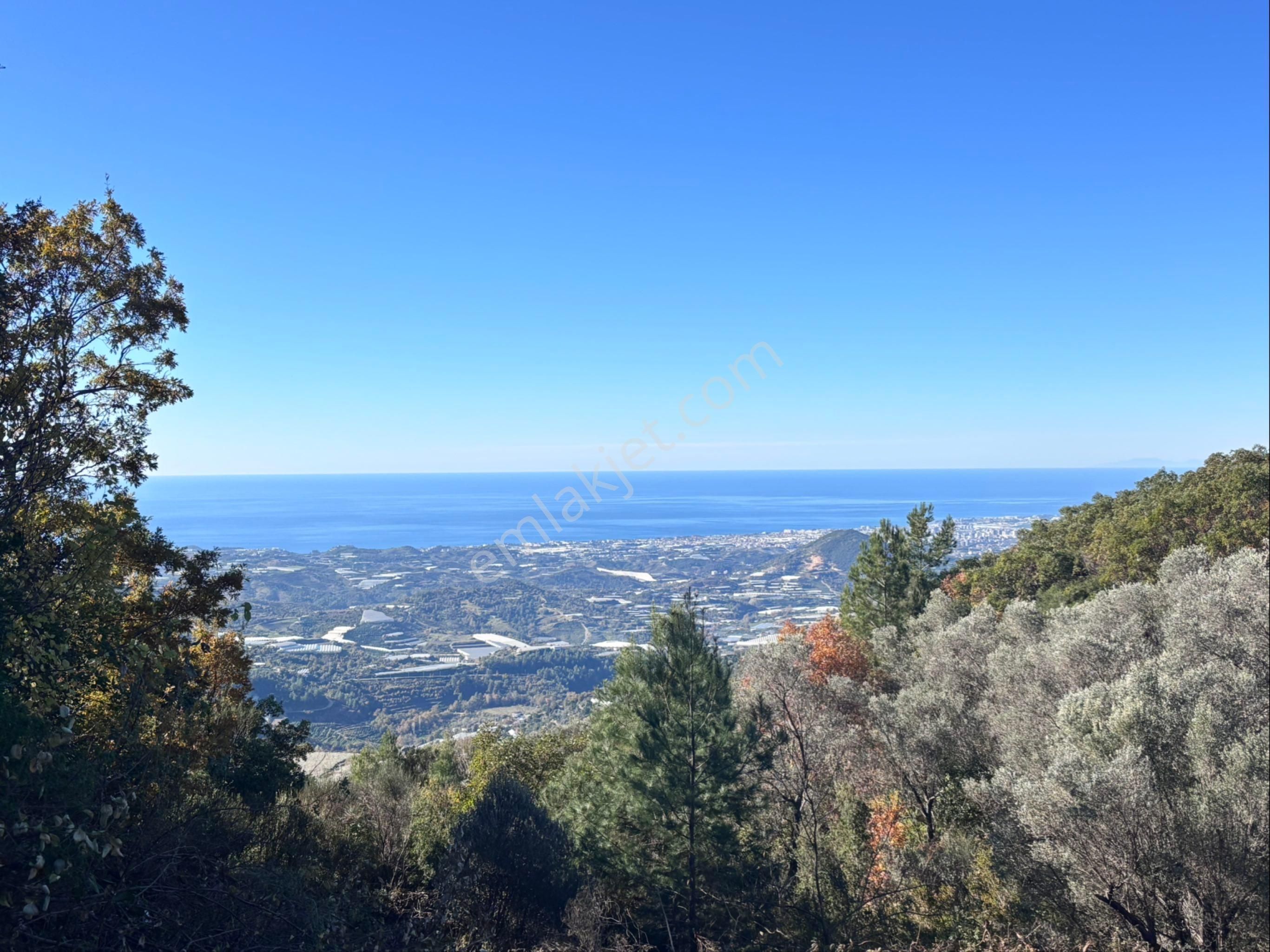 Alanya Mahmutseydi De Deniz Manzaralı Harfiyatı Yapılmış 1.137,41m2 Satılık Tarla - Görsel 14