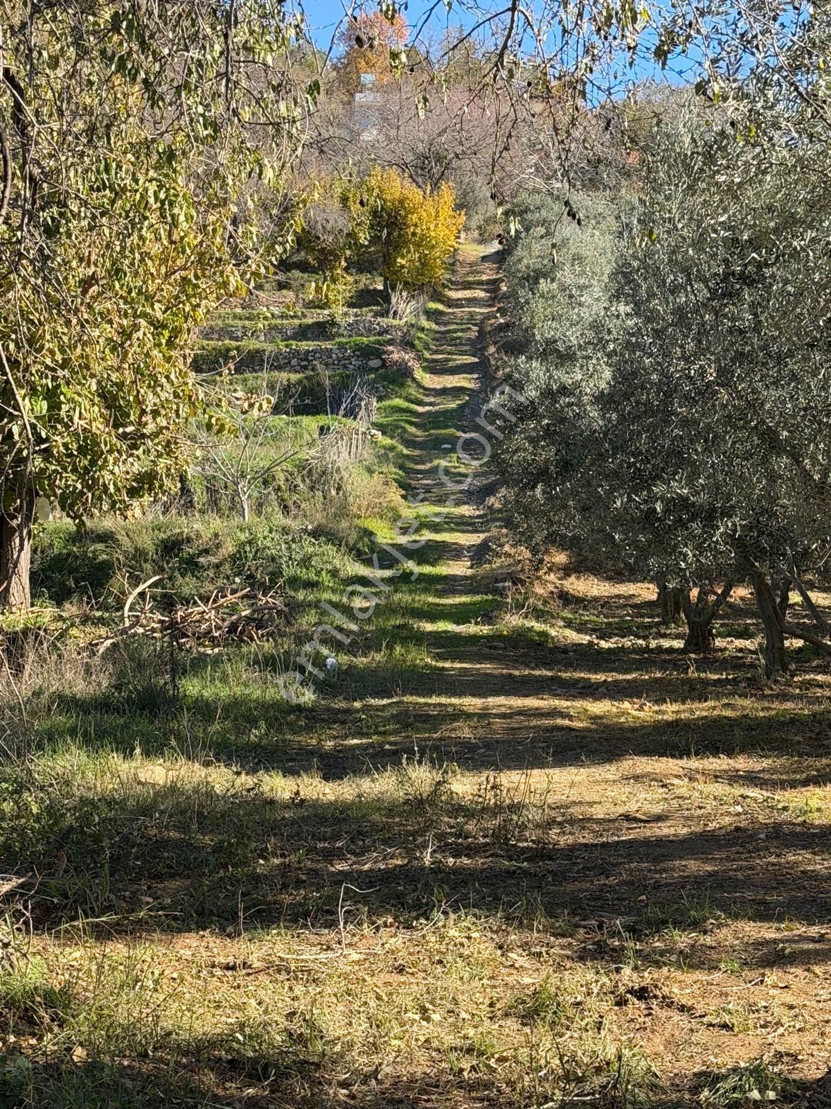 Alanya Mahmutseydi De Deniz Manzaralı Harfiyatı Yapılmış 1.137,41m2 Satılık Tarla - Görsel 10