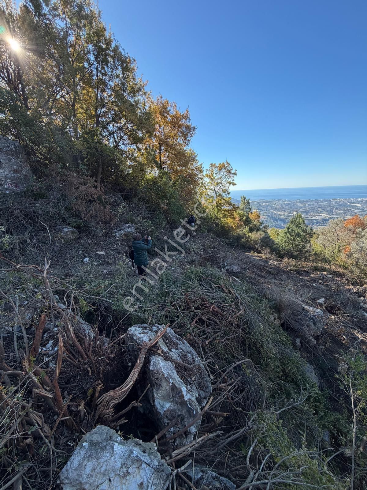 Alanya Mahmutseydi De Deniz Manzaralı Harfiyatı Yapılmış 1.137,41m2 Satılık Tarla - Görsel 3