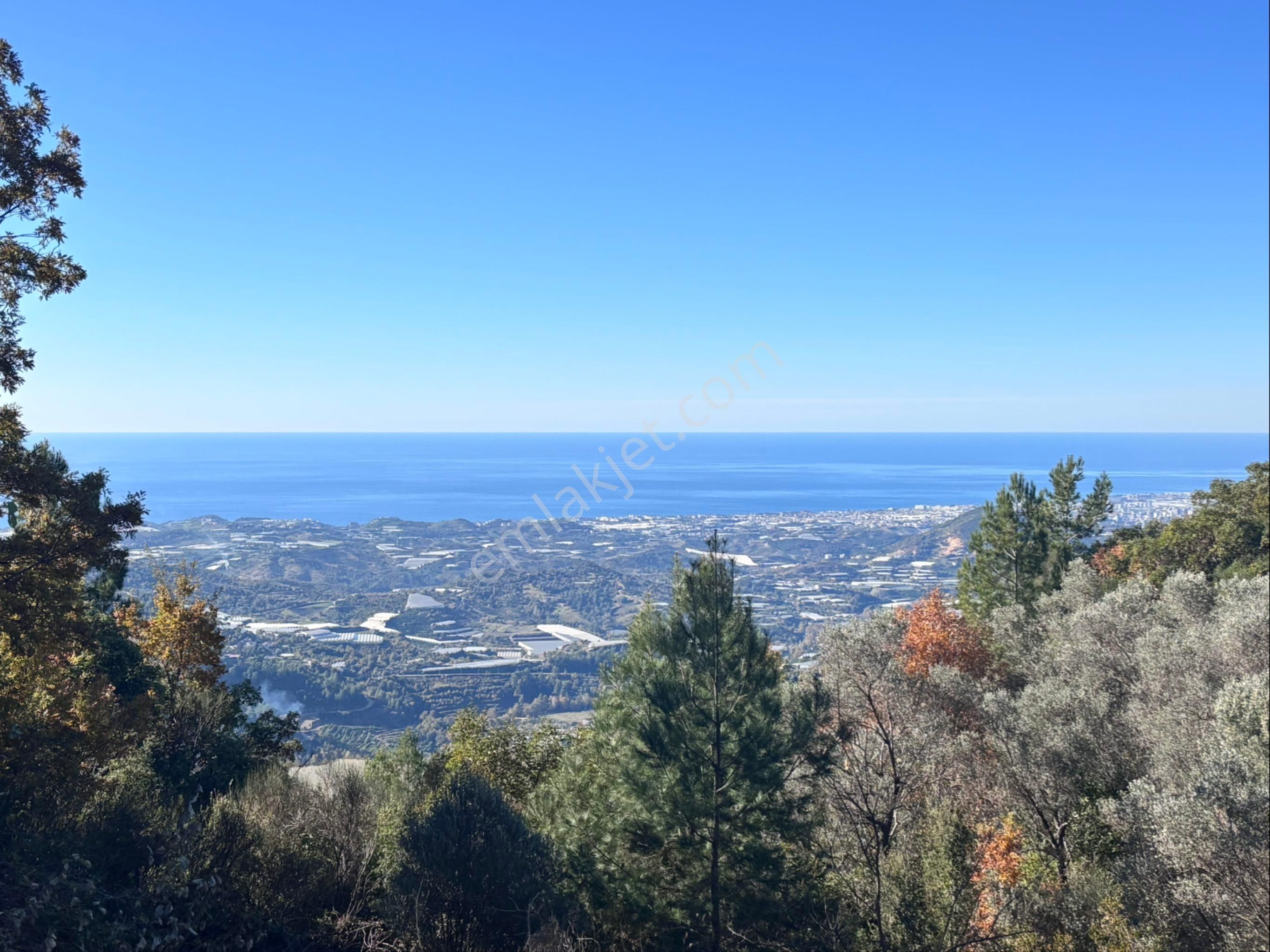 Alanya Mahmutseydi De Deniz Manzaralı Harfiyatı Yapılmış 1.137,41m2 Satılık Tarla - Görsel 13