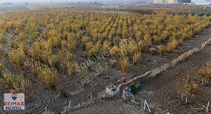 Remax Model Den Denizli Honaz Kaklık Osb Satılık Sanayi Arsası - Görsel 2