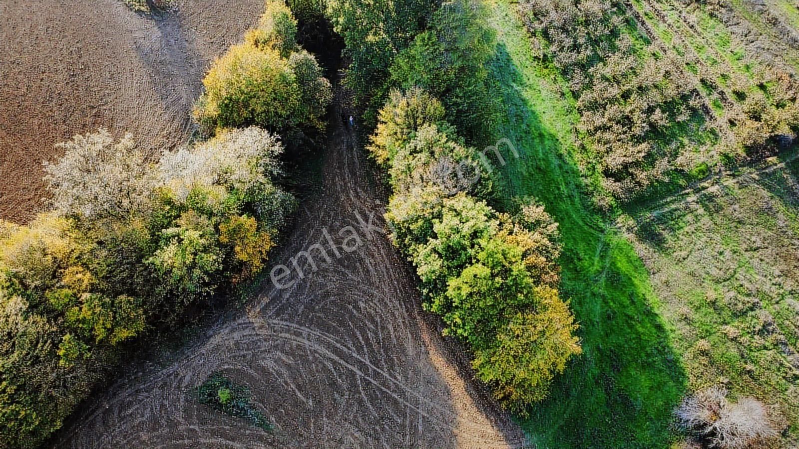 Yoldaş Emlaktan Kandırada Teksen Mah 4600 M2 Tarla - Görsel 14