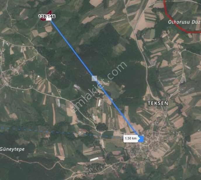 Yoldaş Emlaktan Kandırada Teksen Mah 4600 M2 Tarla - Görsel 6