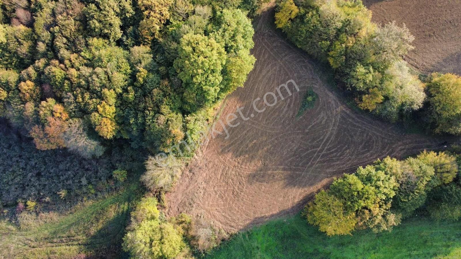 Yoldaş Emlaktan Kandırada Teksen Mah 4600 M2 Tarla - Görsel 15