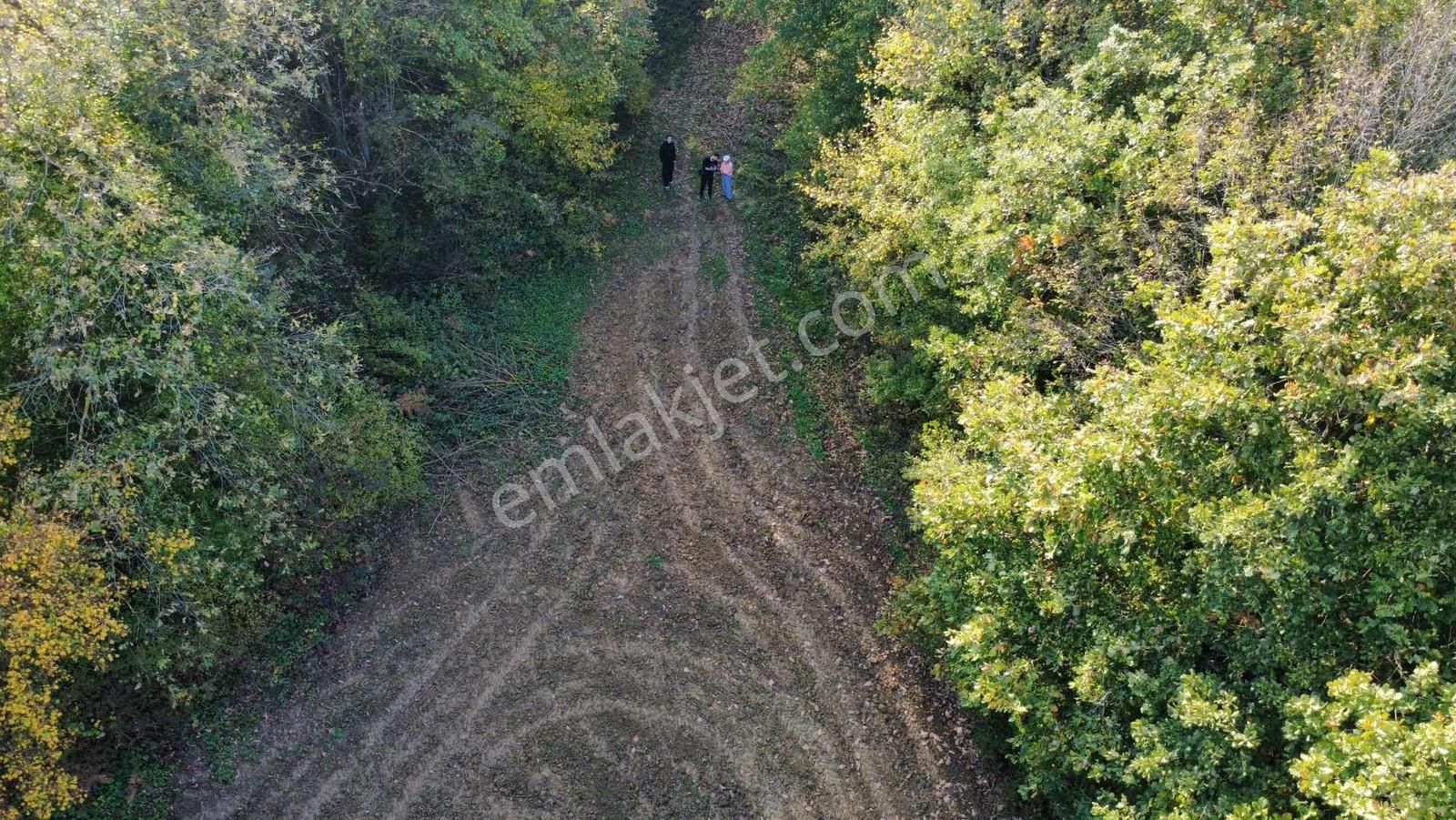 Yoldaş Emlaktan Kandırada Teksen Mah 4600 M2 Tarla - Görsel 8