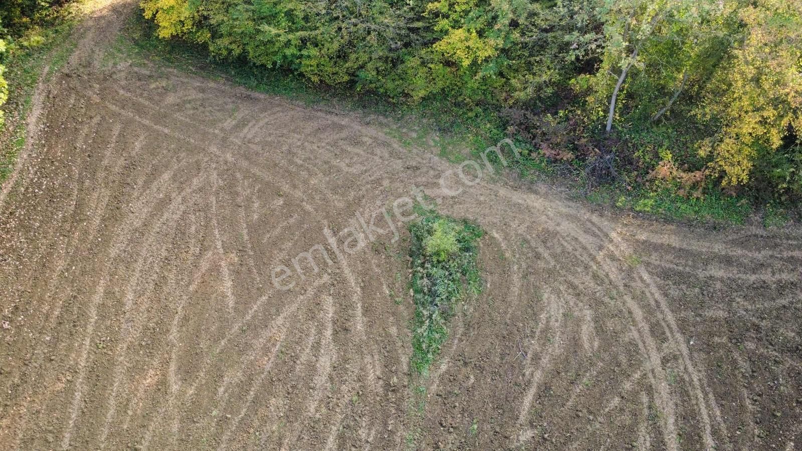 Yoldaş Emlaktan Kandırada Teksen Mah 4600 M2 Tarla - Görsel 10