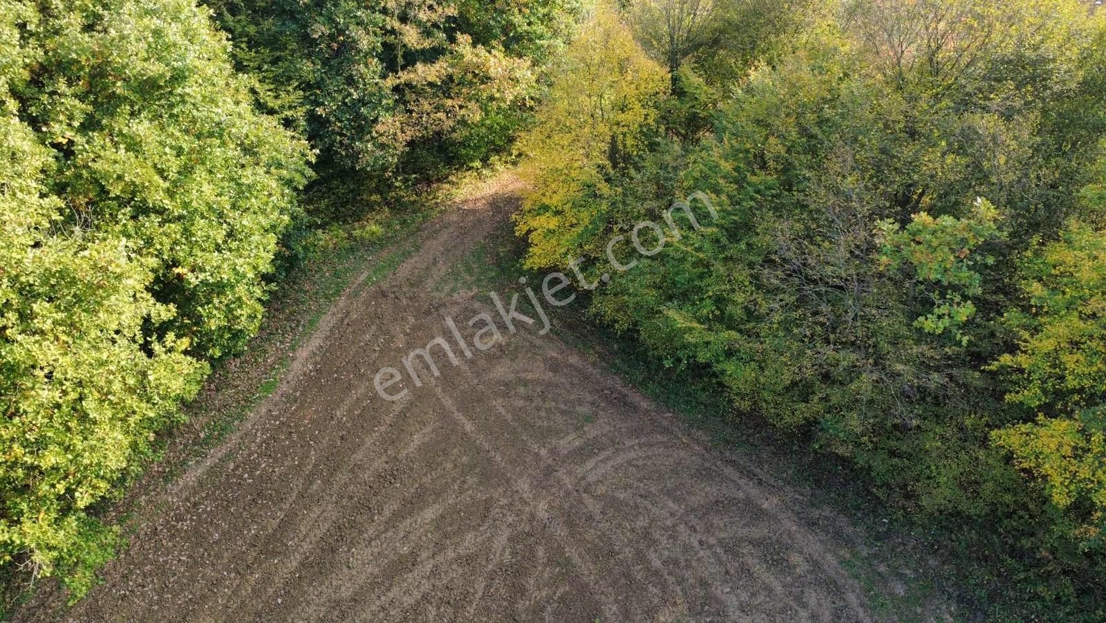 Yoldaş Emlaktan Kandırada Teksen Mah 4600 M2 Tarla - Görsel 16