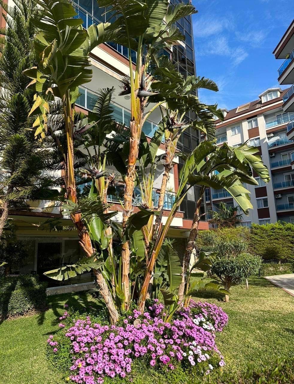 Alanya Cikcilli. Another World 2+1. (ru.uk.kz.en) - Görsel 26