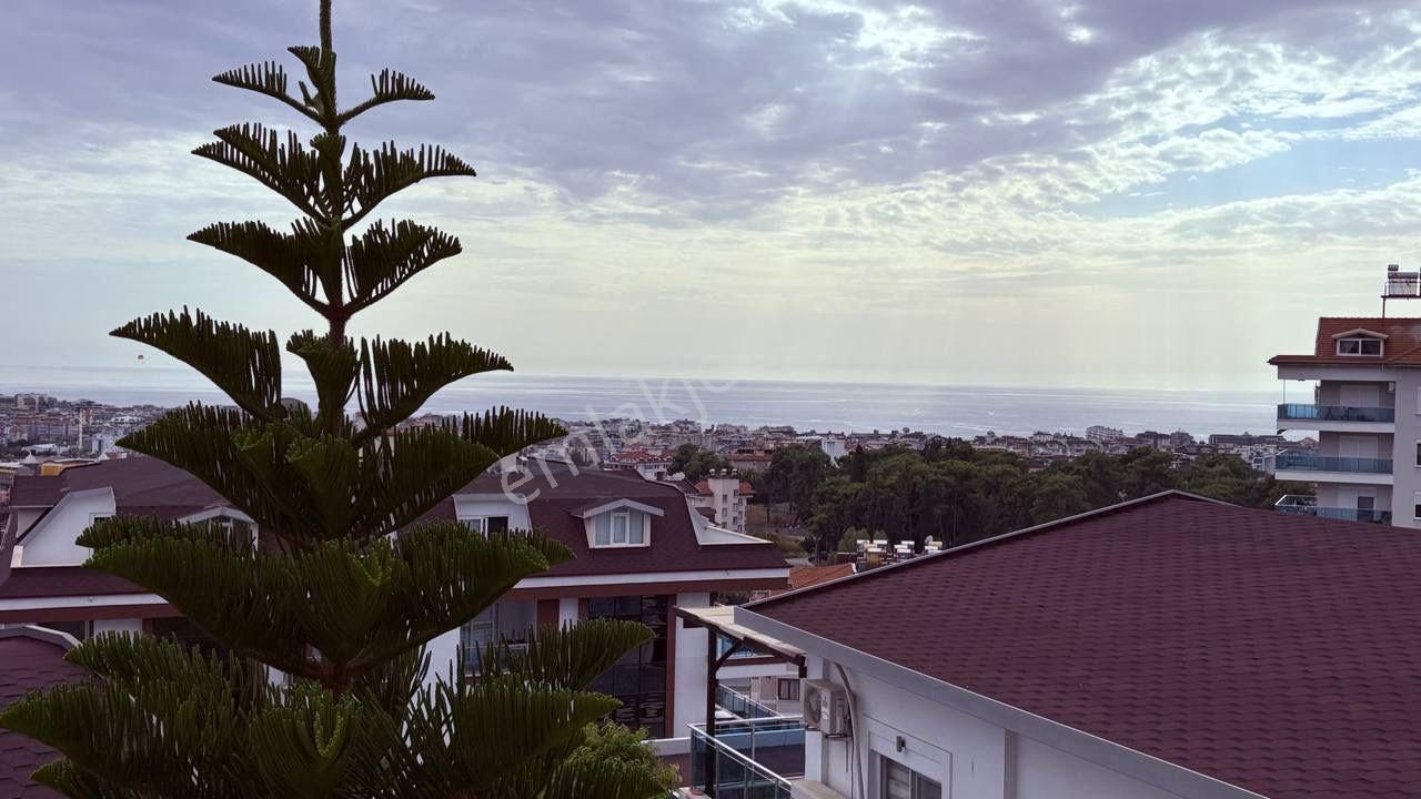 Alanya Cikcilli. Another World 2+1. (ru.uk.kz.en) - Görsel 19