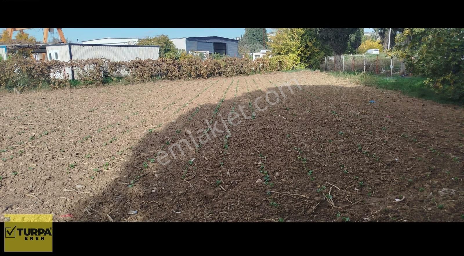 Satılık Arsa + Tek Katlı Ev Torbalı Kuşçuburun - Görsel 19