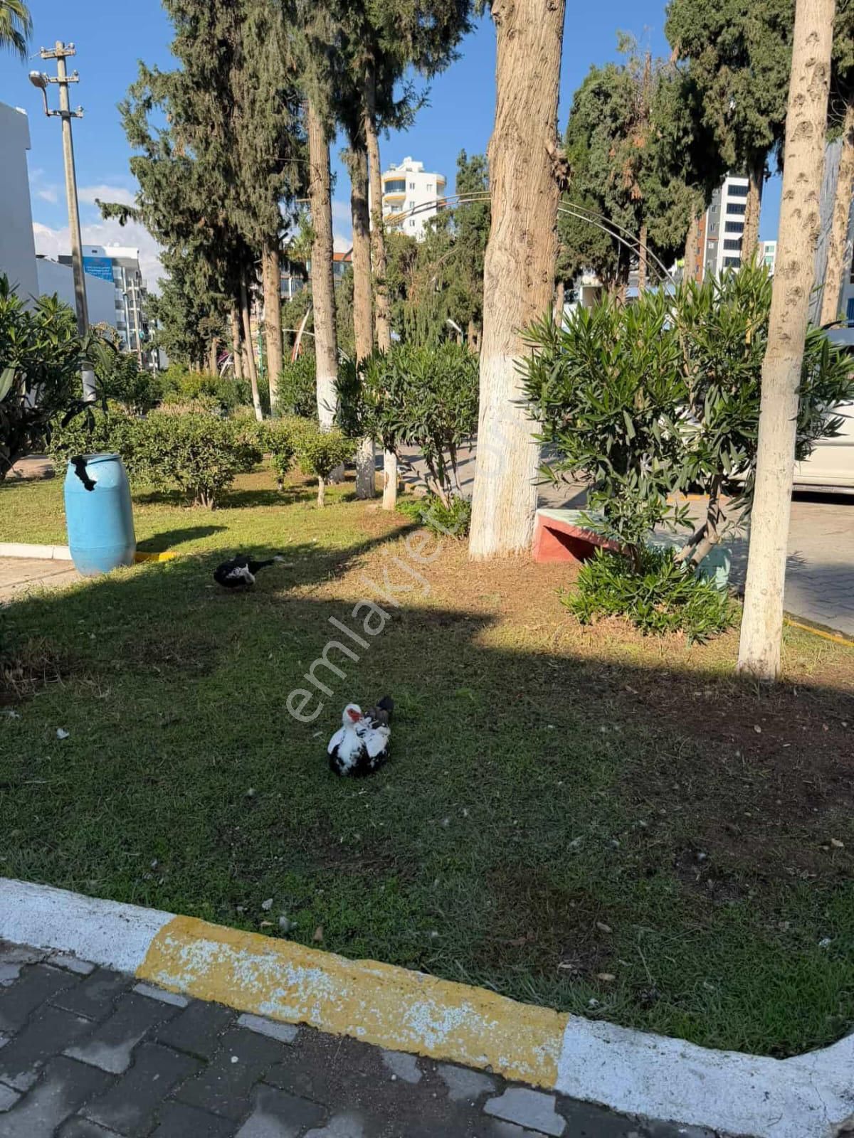 View'den Tece'de Denize 100m Yürüme Mesafesi 2+1 Kiralık Daire - Görsel 22