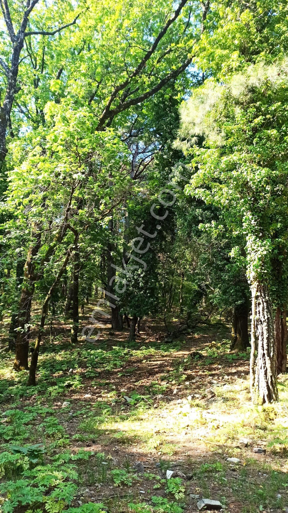 Kuşadası Güzelçamlı Merkezde Satılık 1+1 Sıfır Yapım Daire - Görsel 3