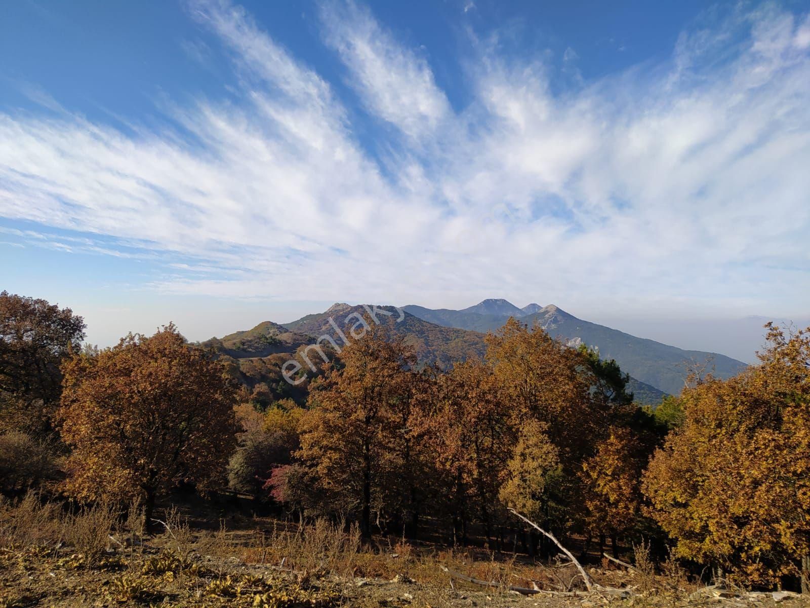 Kuşadası Güzelçamlı Merkezde Satılık 1+1 Sıfır Yapım Daire - Görsel 2