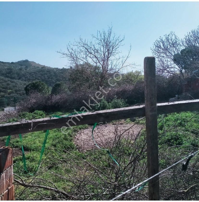 Gömeç Prestij Gayrimenkulden - Görsel 7