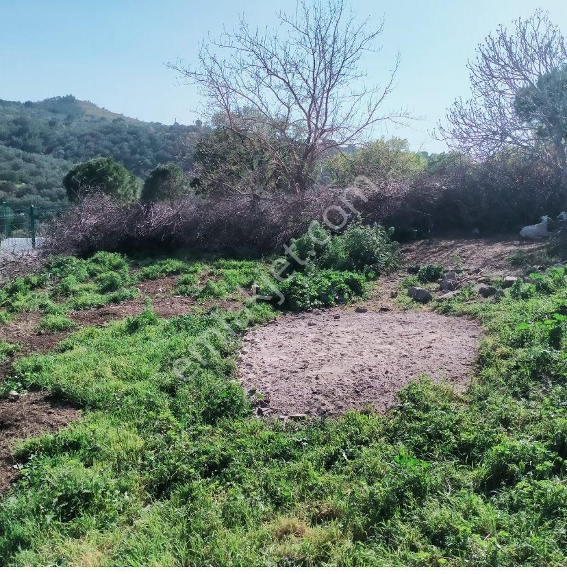 Gömeç Prestij Gayrimenkulden - Görsel 2