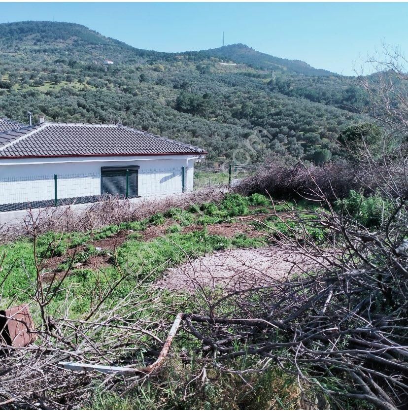 Gömeç Prestij Gayrimenkulden - Görsel 6