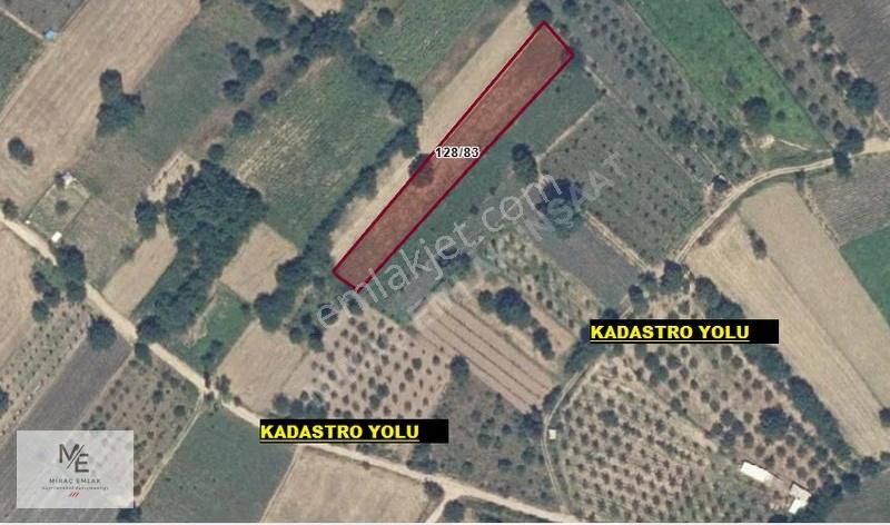 Miraç Emlaktan Küçükyenice De Asfalta Yerleşime Yakın Tarla - Görsel 2