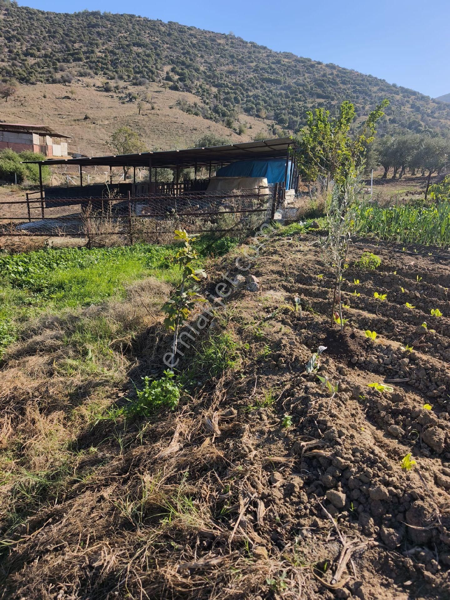 Sahibinden Nazilli De Yatırımlık - Görsel 12