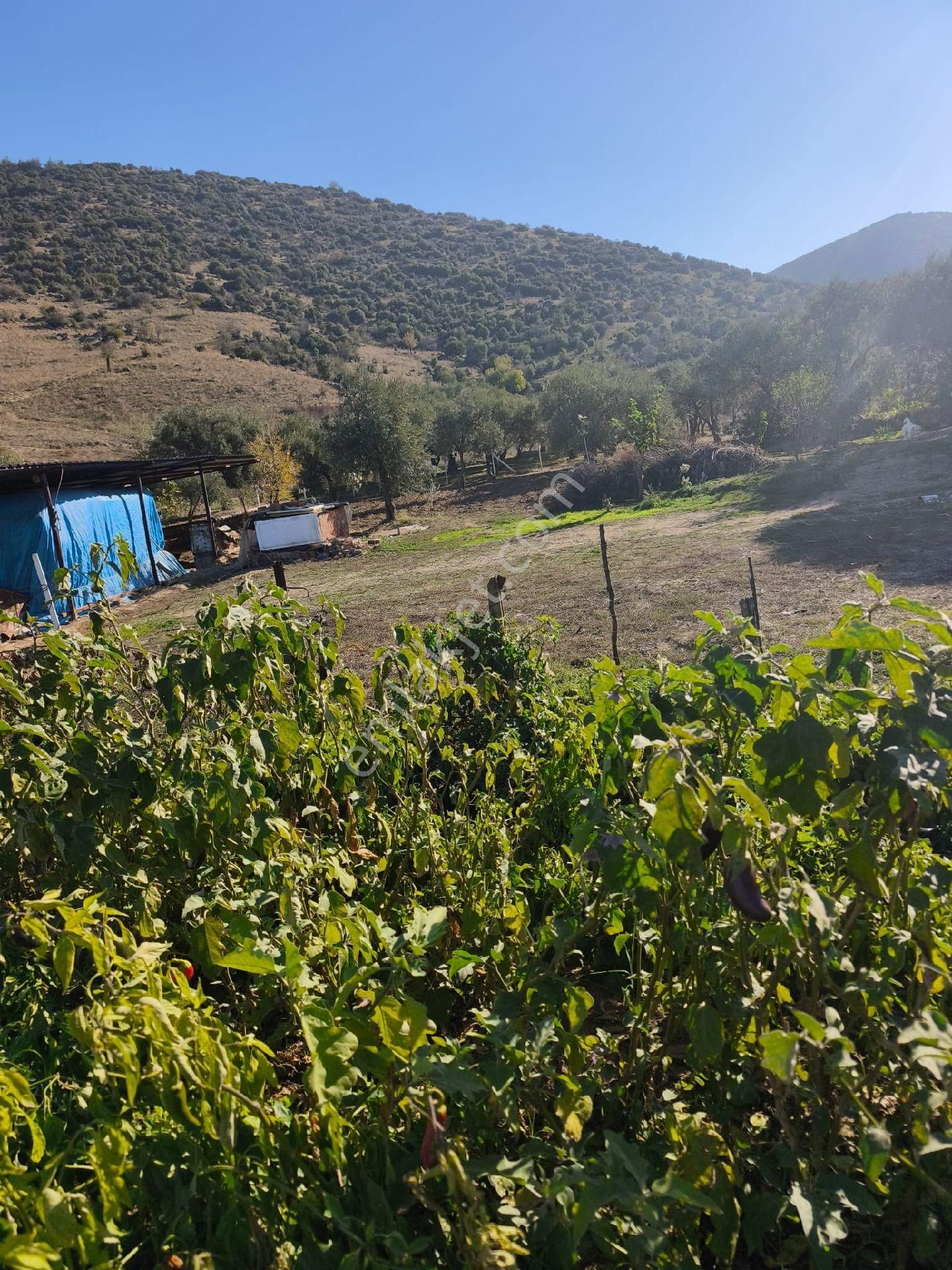 Sahibinden Nazilli De Yatırımlık - Görsel 16