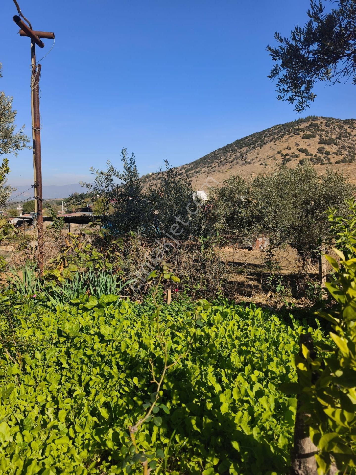 Sahibinden Nazilli De Yatırımlık - Görsel 10