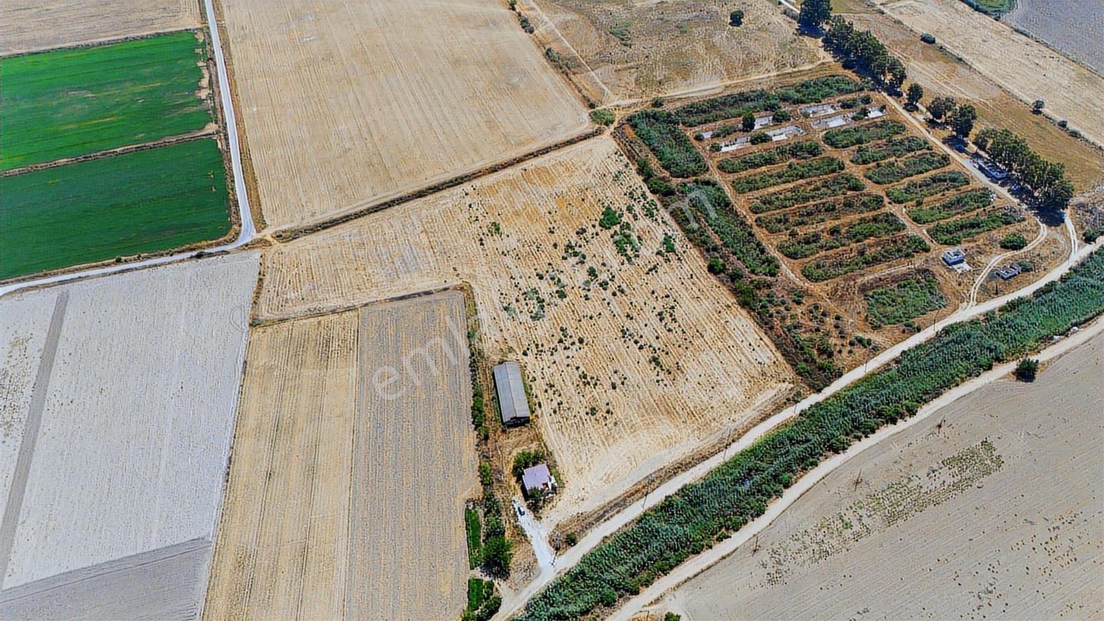 Milas Yaşyer Mah. Tek Tapu 35 Dönüm Karayolu'na Yakın "tarla" - Görsel 28