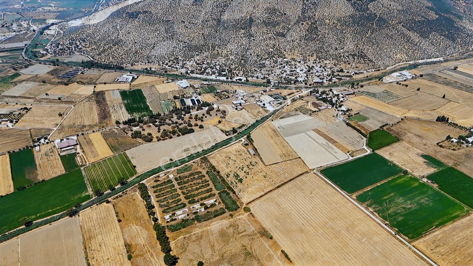 Milas Yaşyer Mah. Tek Tapu 35 Dönüm Karayolu'na Yakın "tarla" - Görsel 5