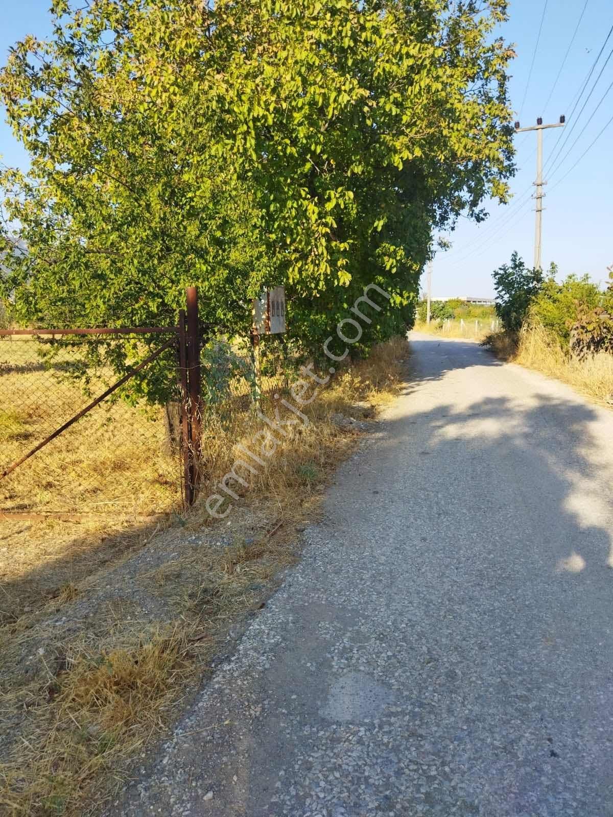 Kemalpaşada Satılık Arazi - Görsel 4