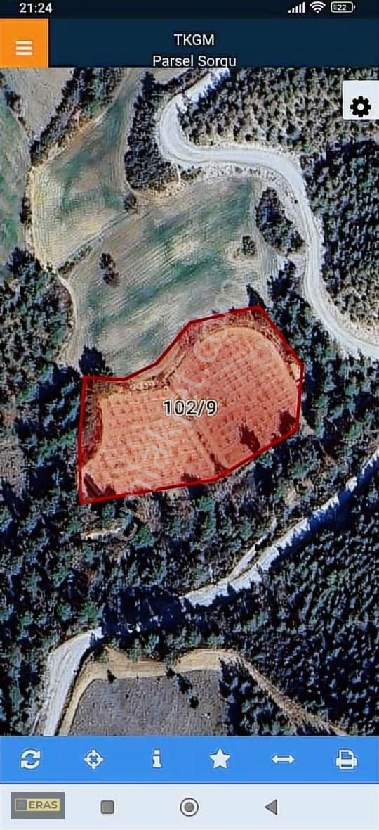 Honaz Aydınlarda Satılık Kayısı Bahçesi