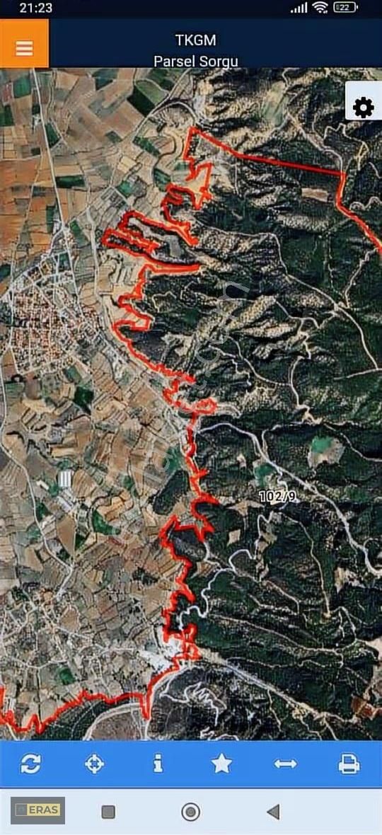 Honaz Aydınlarda Satılık Kayısı Bahçesi - Görsel 2