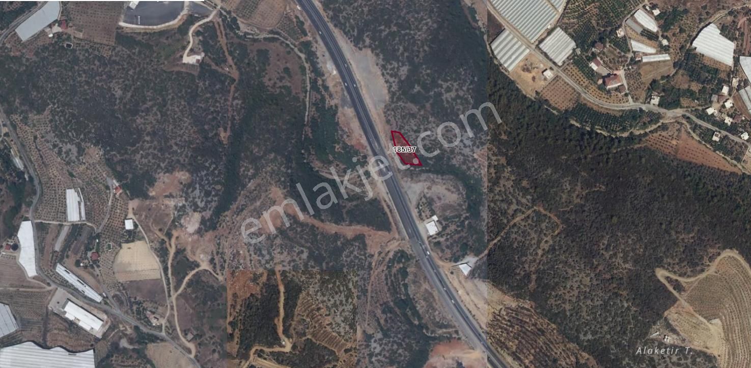 Alanya Uğrak'ta Yatırımlık Bahçe Ve Tarla Fırsatı ! - Görsel 6