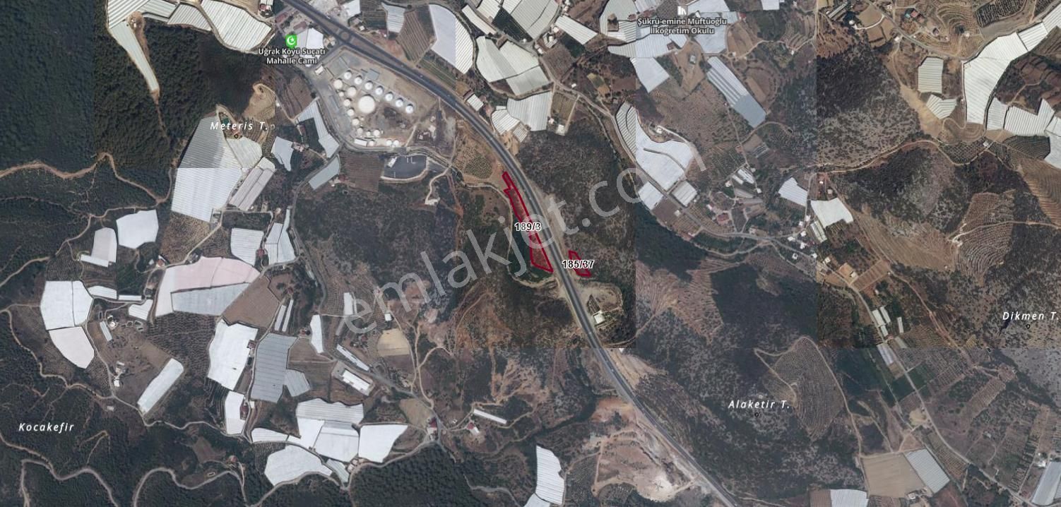 Alanya Uğrak'ta Yatırımlık Bahçe Ve Tarla Fırsatı ! - Görsel 9