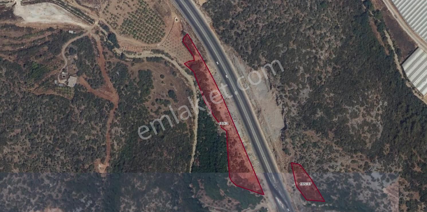 Alanya Uğrak'ta Yatırımlık Bahçe Ve Tarla Fırsatı ! - Görsel 8