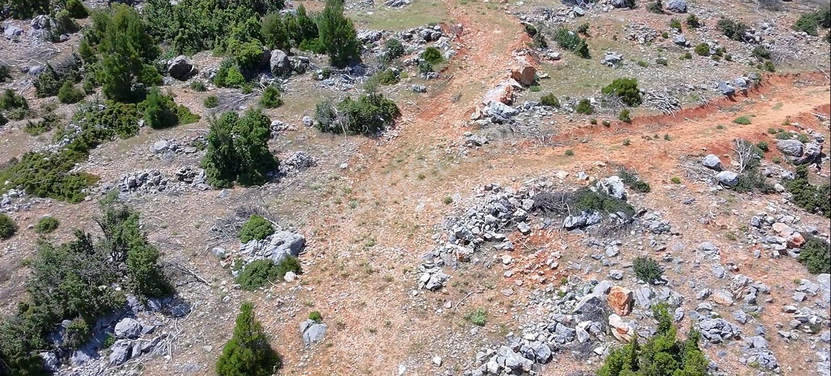 Akoluk'ta Düz Büyük Dönüm Masrafsız Tarla - Görsel 7