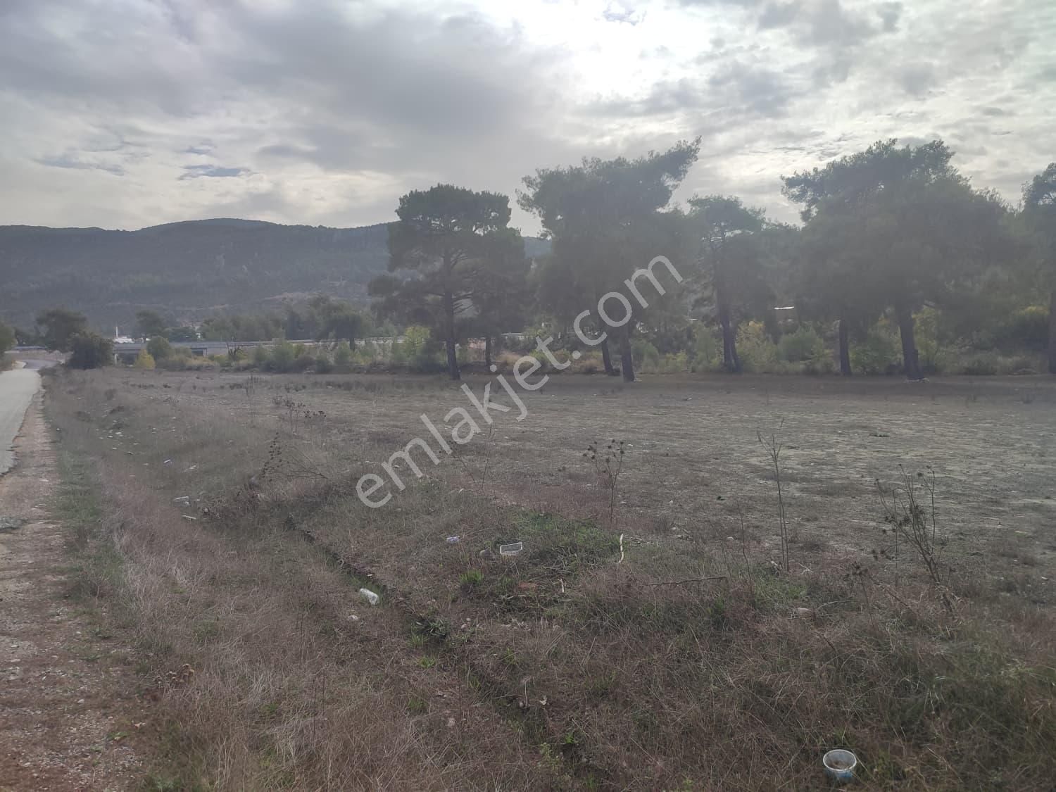 Kaş–kasaba Yoluna Yakın - 15 Dakikada Kaş Merkeze Ulaşım | Prestijli Konum | 2 Ayrı Tapu - Görsel 2