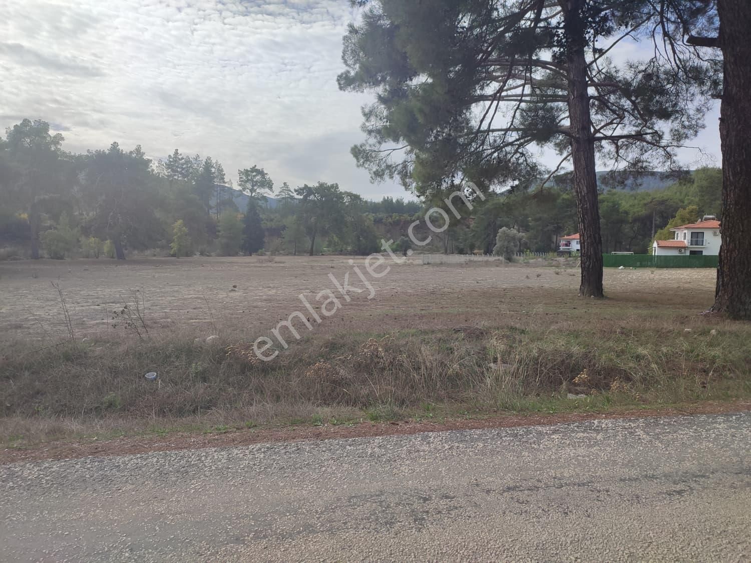 Kaş–kasaba Yoluna Yakın - 15 Dakikada Kaş Merkeze Ulaşım | Prestijli Konum | 2 Ayrı Tapu