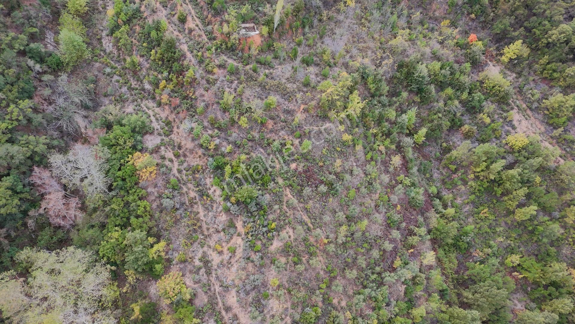 Göçük'te Satılık 2 Dönüm Tarla Akarsu Yanı - Görsel 7
