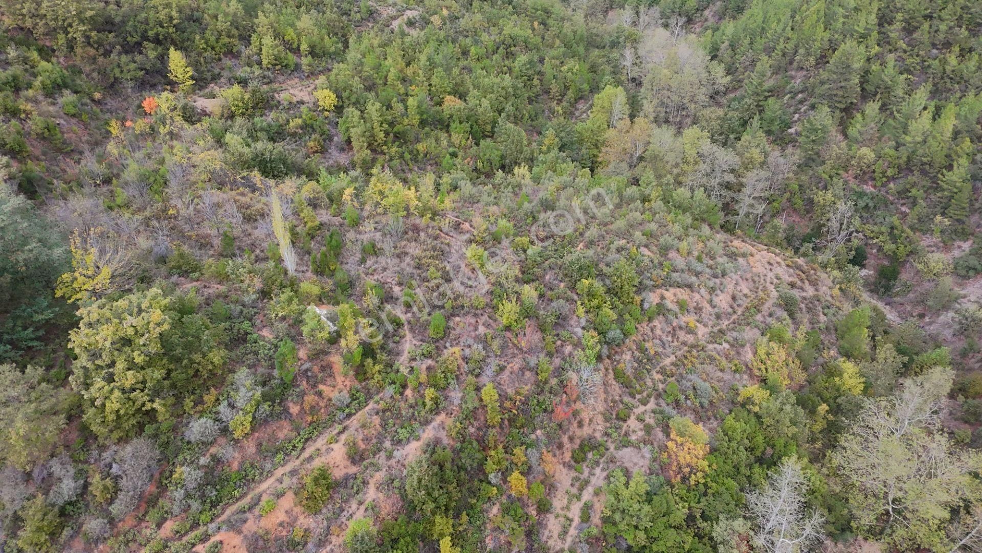 Göçük'te Satılık 2 Dönüm Tarla Akarsu Yanı - Görsel 3