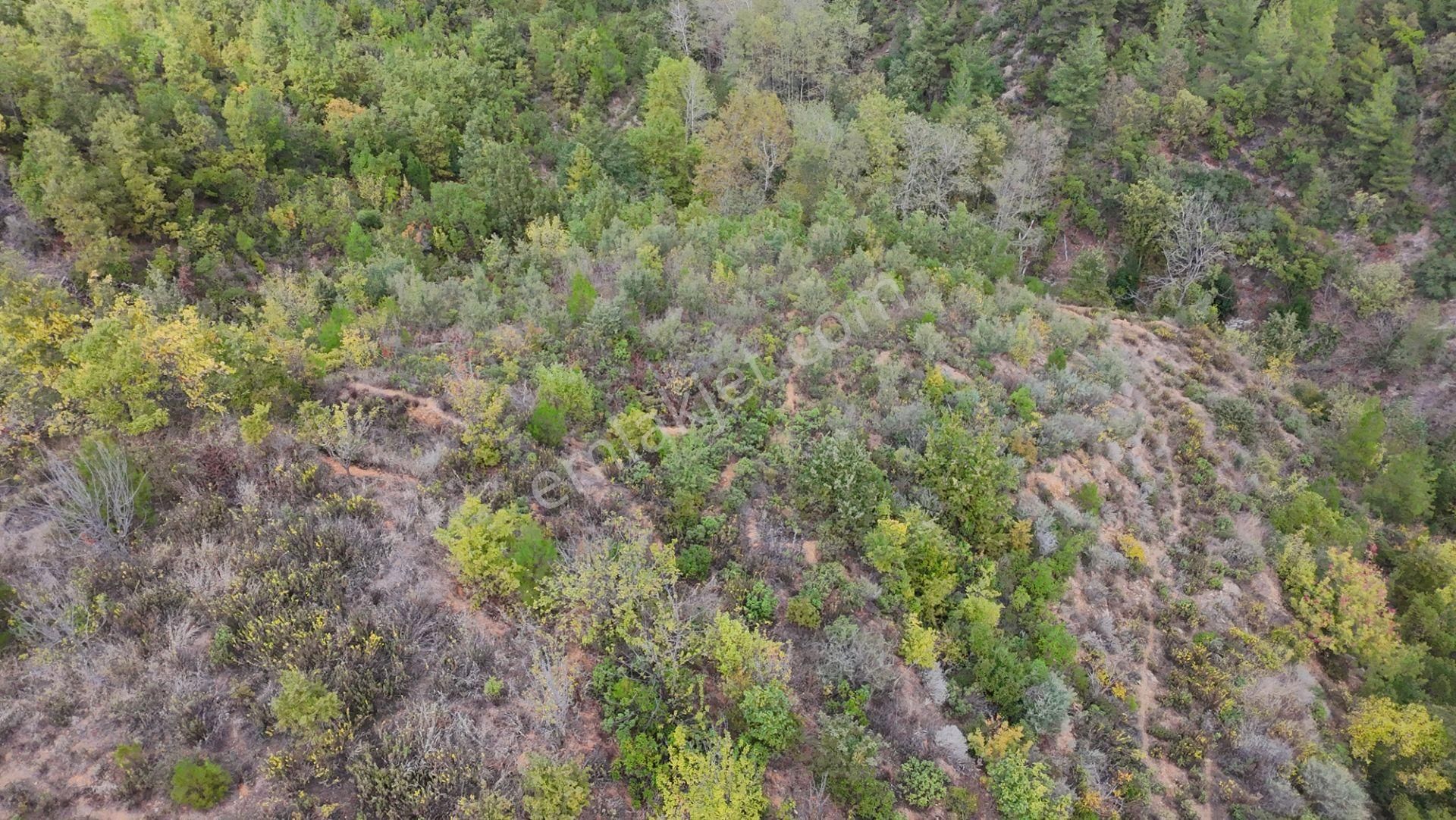 Göçük'te Satılık 2 Dönüm Tarla Akarsu Yanı - Görsel 5