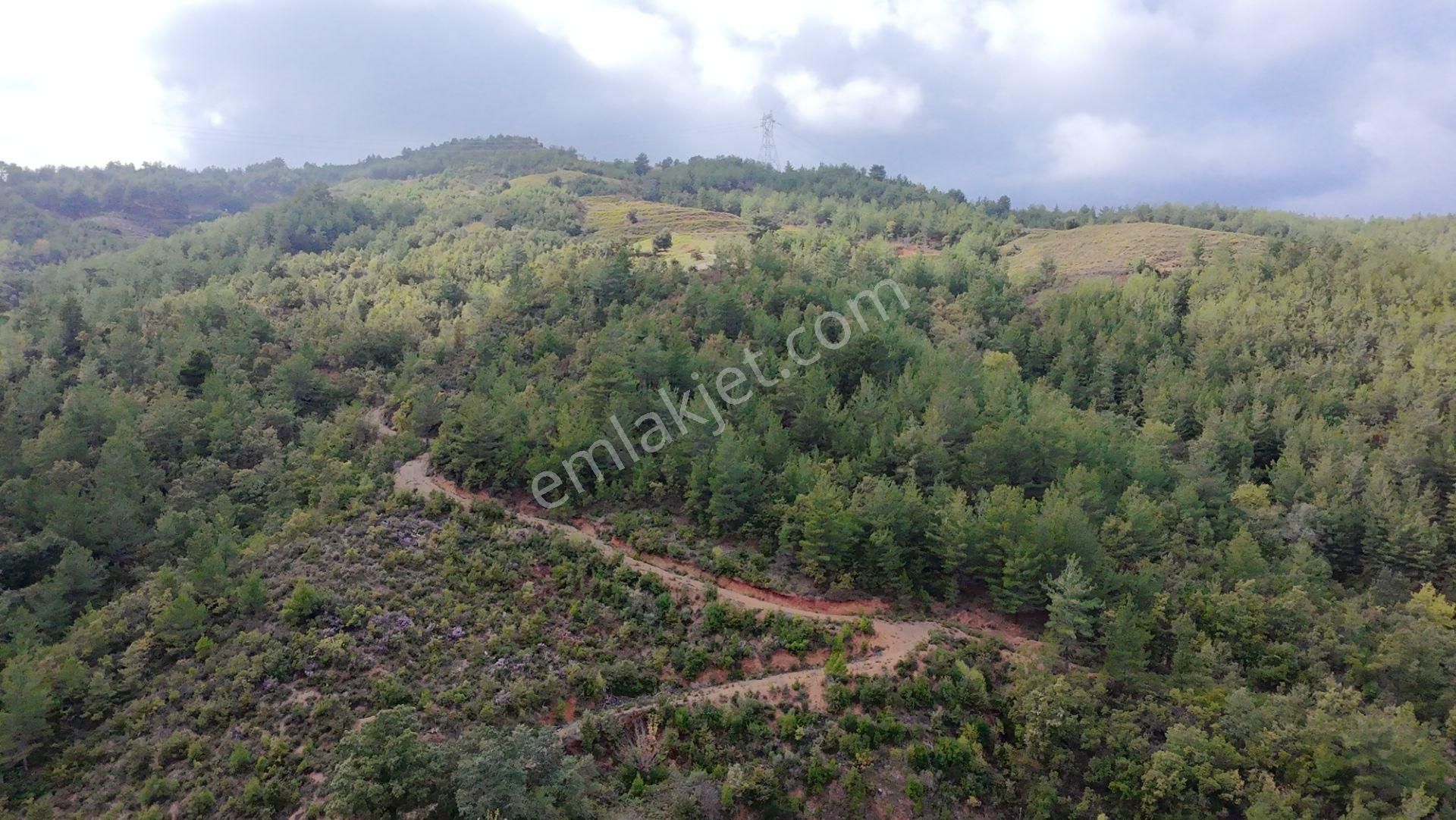 Göçük'te Satılık 2 Dönüm Tarla Akarsu Yanı - Görsel 8